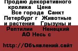 Продаю декоративного кролика › Цена ­ 500 - Все города, Санкт-Петербург г. Животные и растения » Грызуны и Рептилии   . Ненецкий АО,Несь с.